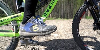 freeride stance preview